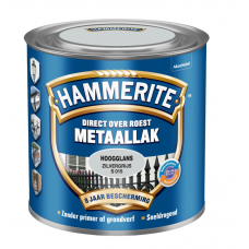 HAMMERITE METAALLAK HOOGGLANS ZILVERGRIJS 250 ML