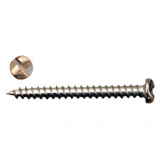 QLINQ ANTI-INBRAAKSCHROEF 4X40MM VERZINKT; 12 PER VERP