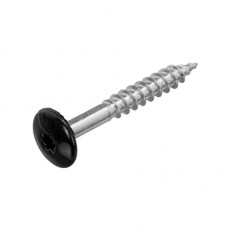KLEURKOPSCHROEF RVS-A2 ZWART RAL9005 4.8 X 38 MM (50)